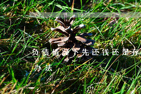 负债情况下先还钱还是存钱-负债上岸最好办法