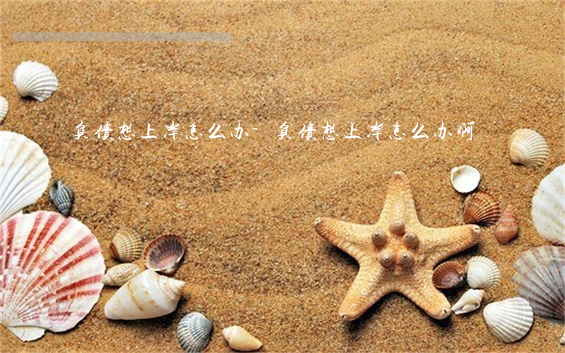 负债想上岸怎么办-负债想上岸怎么办啊