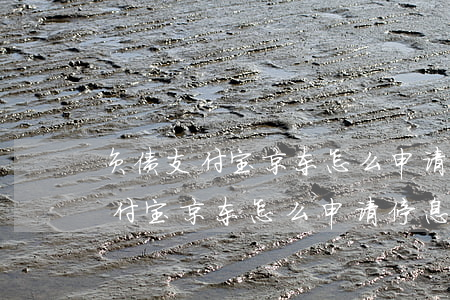 负债支付宝京东怎么申请停息挂账-负债支付宝京东怎么申请停息挂账呢