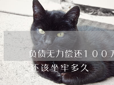 负债无力偿还100万 负债100万无力偿还该坐牢多久