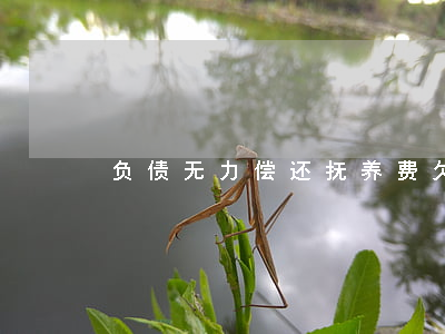 负债无力偿还抚养费(欠债给不起抚养费)