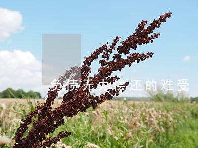 负债无力偿还的难受
