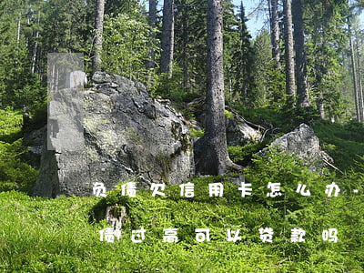 负债欠信用卡怎么办-如果我只是信用卡负债过高可以贷款吗