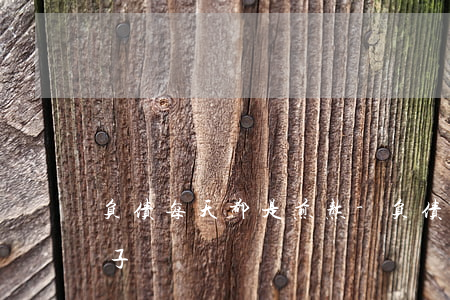 负债每天都是煎熬-负债每天都是煎熬的句子