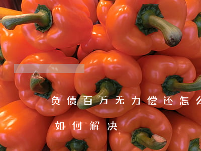 负债百万无力偿还怎么办（负债百万无力偿还如何解决）