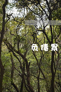 负债累累的心态-负债累累的心态怎么形容
