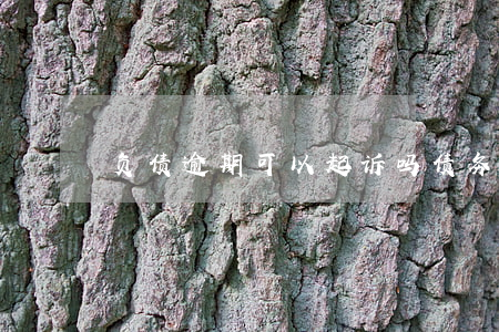 负债逾期可以起诉吗(债务逾期诉讼)