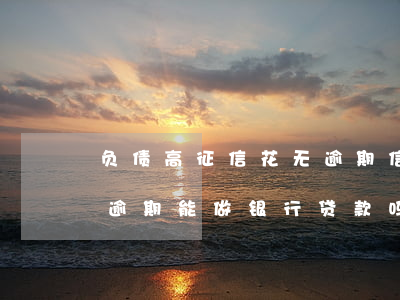 负债高征信花无逾期信用卡(征信花负债高无逾期能做银行贷款吗)
