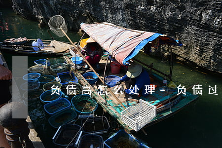 负债高怎么处理-负债过高怎么处理