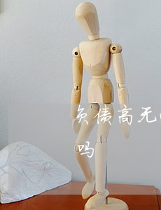 负债高无逾期房贷好贷么(负债高能贷款买房吗)