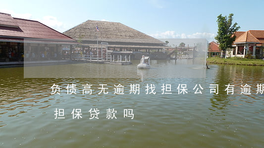 负债高无逾期找担保公司(有逾期担保公司能担保贷款吗)
