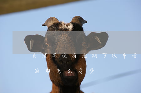 负债高没有逾期可以申请什么贷款（负债高无逾期怎么房贷）