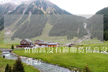 负债高没有逾期(负债高没有逾期可以申请车贷吗)