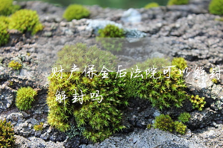 财产保全后法院可以解封吗(财产保全会自动解封吗)
