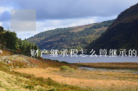 财产继承税怎么算(继承的税费怎样计算)