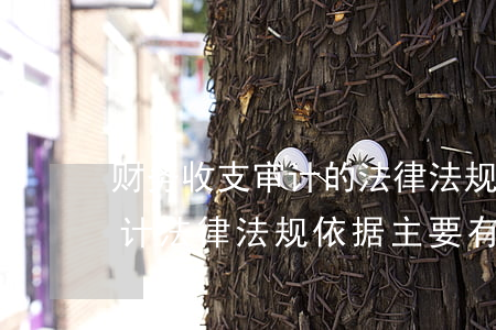 财务收支审计的法律法规(二,我国现行的审计法律法规依据主要有哪些)