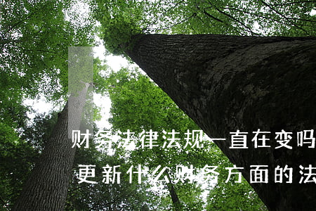财务法律法规一直在变吗(最近国家是否有更新什么财务方面的法律法规)