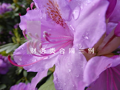 财务类合同三例