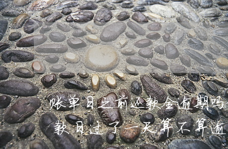 账单日之前还款全逾期吗(信用卡账单最后还款日过了一天算不算逾期)