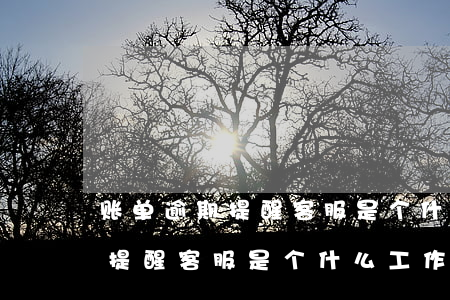 账单逾期提醒客服是个什么工作-账单逾期提醒客服是个什么工作呢