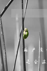账户没钱法院可以冻结吗(银行卡里没钱法院还会冻结吗)