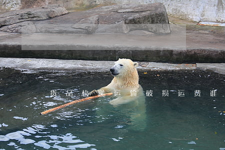 货品快递运输破损运费谁承担