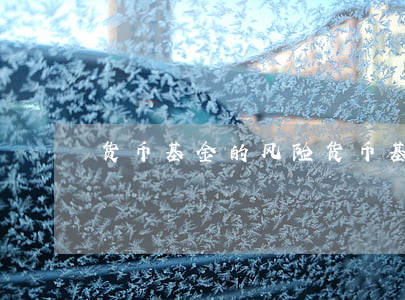 货币基金的风险(货币基金的风险主要包括)