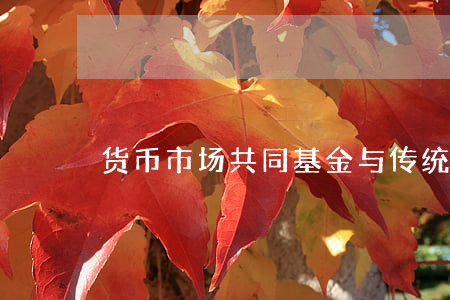 货币市场共同基金与传统基金比较