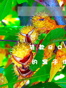 货款80万的案子律师费多少钱(2000万的案子律师费多少钱)