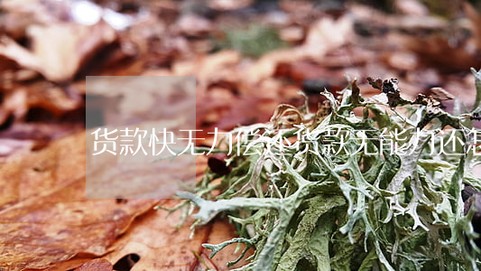 货款快无力偿还(货款无能力还怎么办)