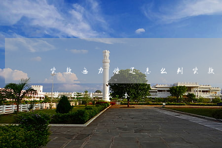 货款无力偿还怎么判(货款无力偿还面临法院执行怎么办)