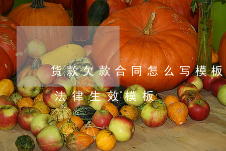 货款欠款合同怎么写模板(货款欠款条怎么写法律生效模板)
