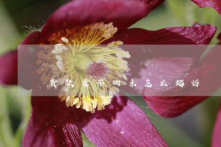 货款要不回来怎么起诉