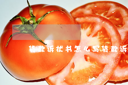 货款诉状书怎么写(货款诉讼书怎么写范文)