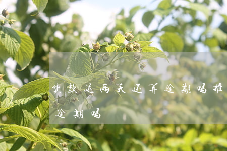 货款迟两天还算逾期吗 推迟一两天还款会算逾期吗