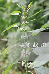 货款逾期发律师函范本(欠款律师函格式范本)