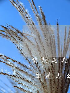货款逾期收利息应该怎么写(货款逾期收利息应该怎么写说明)