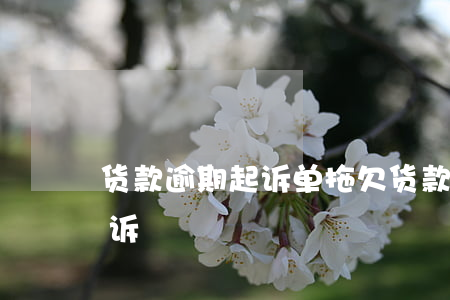 货款逾期起诉单(拖欠货款只有发货单如何起诉)