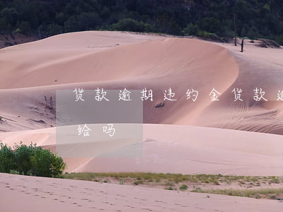 货款逾期违约金(货款逾期违约金可以协商不给吗)