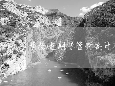 货物逾期保管费要计入销项税额吗