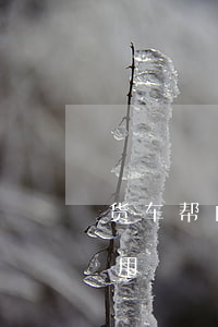货车帮白条逾期会怎么处理(货车帮白条怎么用)