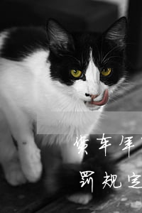 货车年审逾期宽限期是多久(货车逾期年审处罚规定)