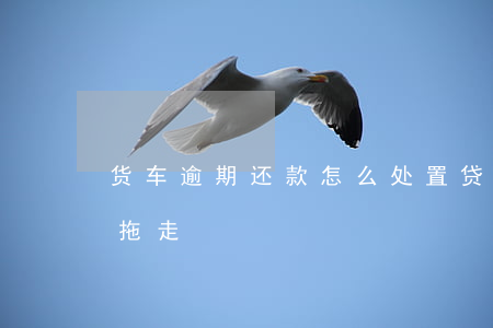 货车逾期还款怎么处置(贷款车逾期多久会被拖走)