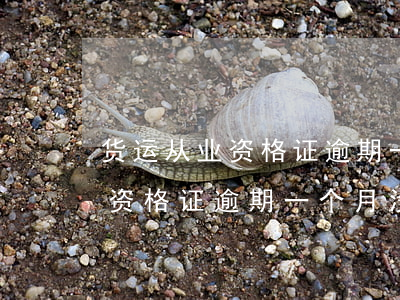 货运从业资格证逾期一个月没审-货运从业资格证逾期一个月没审怎么办