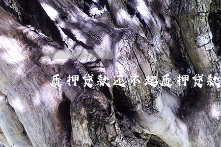 质押贷款还不起 质押贷款到期后不还钱