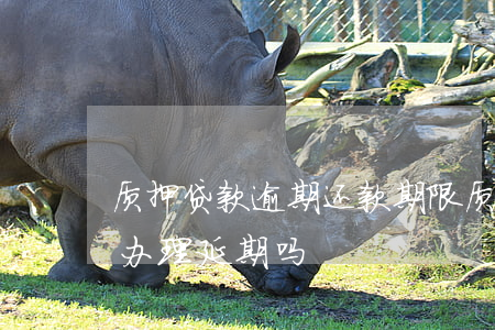 质押贷款逾期还款期限(质押贷款逾期后可以办理延期吗)