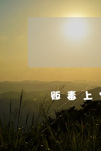 贩毒上家不承认(承认贩毒但是没有证据)