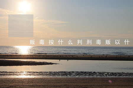 贩毒按什么判刑(毒贩以什么量刑)