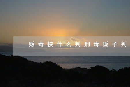 贩毒按什么判刑(毒贩子判刑怎么判)