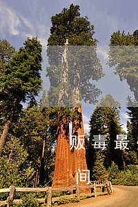 贩毒最少会判多少时间(贩毒最少会判多少时间)